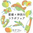 「愛媛x神奈川コラボフェア」第三弾となる「愛媛フェア」をそごう横浜店で開催！